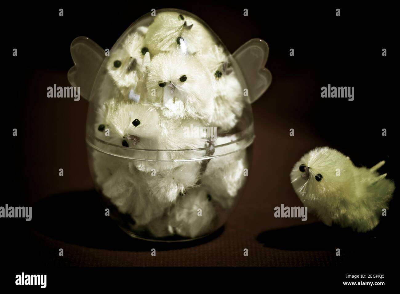 peeps, chicks, fuzzy, chickens, hens, Easter,  kids, decorations, basket fillers, festive, cute, stuffed, in egg, plastic, trapped, stuck inside, fun Stock Photo