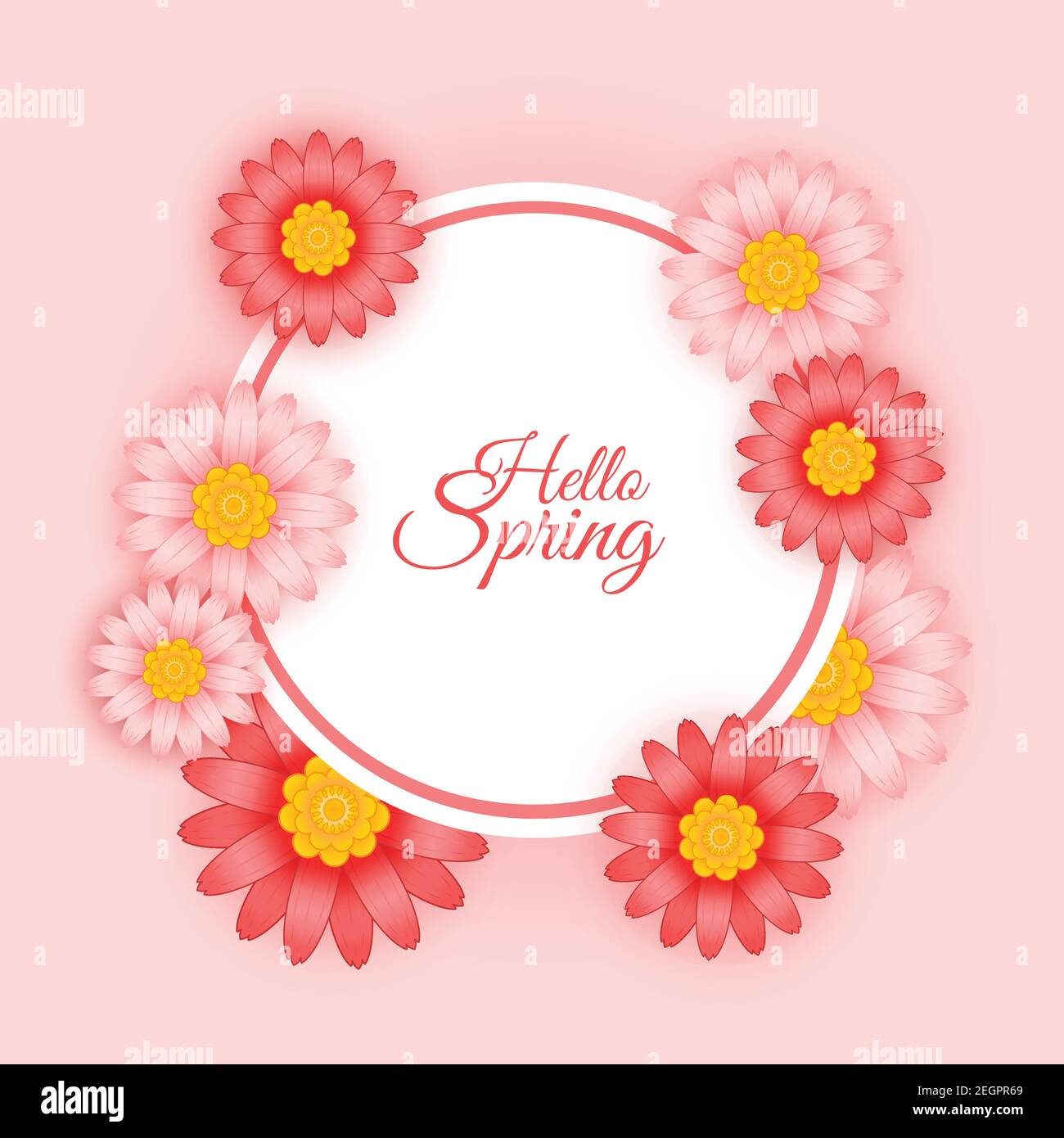 hello spring with beautiful flowers, pink theme illustration vector, additional image can be edit layer by layer EPS 10 Stock Vector