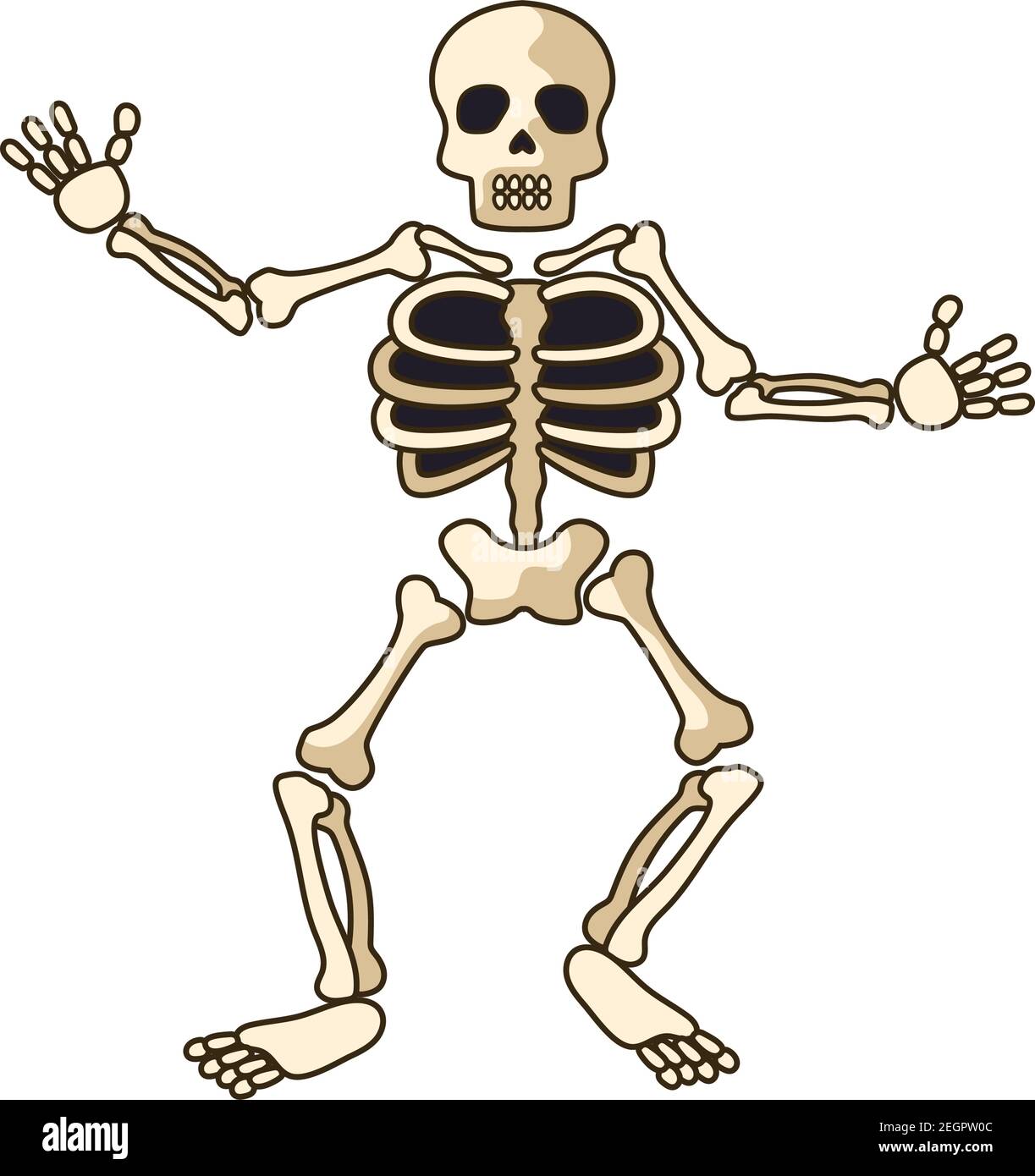 human skeleton icon isolated on white background. vector illustration Stock Vector