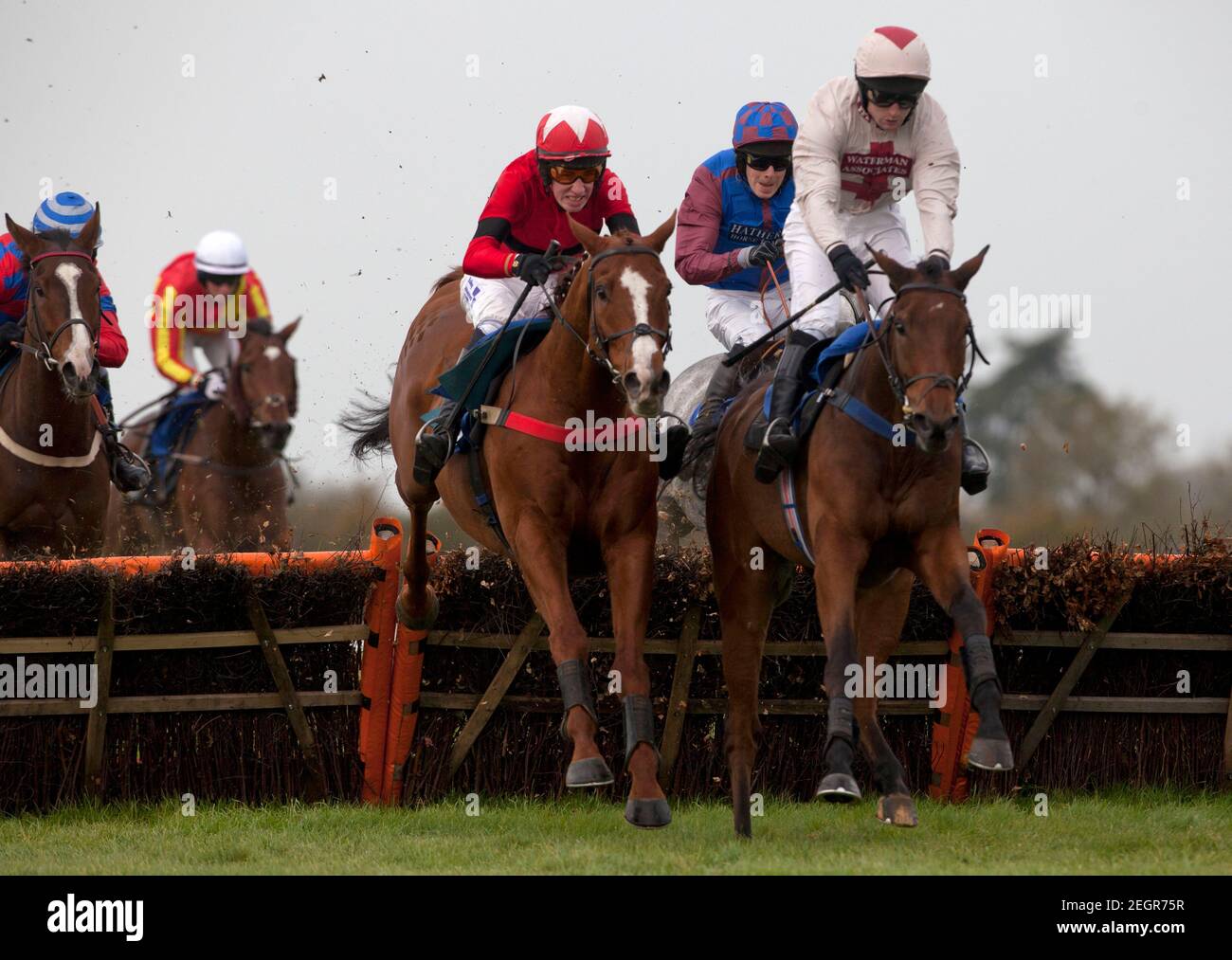 Dragons Horse High Resolution Stock Photography And Images Alamy
