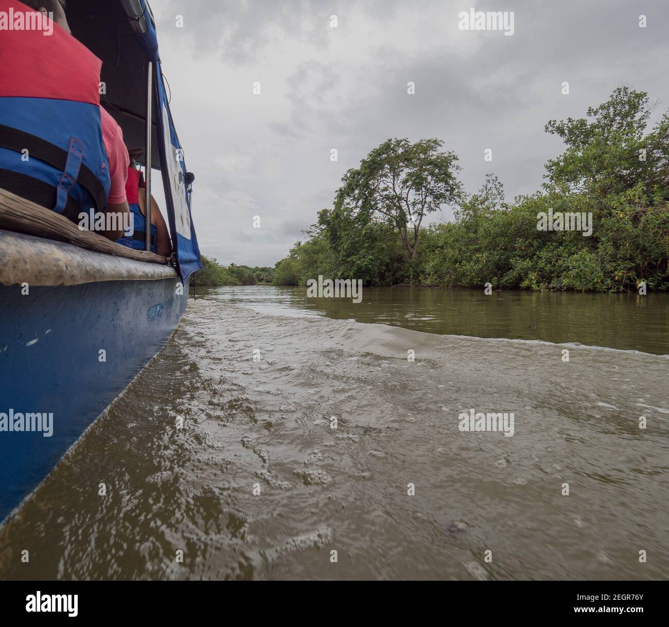 Small boat cruises the Carti river on its way to San Blas in Panama central America, brown water and green vegetation, overcast day Stock Photo