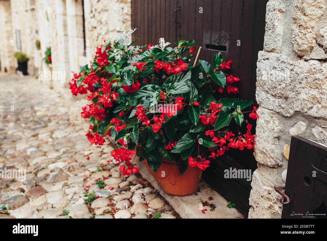 Perouges France Wallpaper Flowers Red flowers flowerpot near door in old stone buildings in Perouges ...