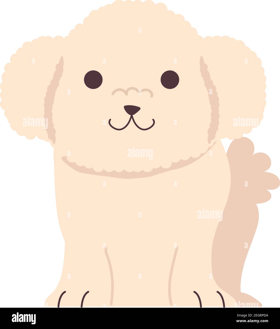 cute little dog french poodle seated character vector illustration design Stock Vector Image & Art - Alamy cute little dog french poodle seated character vector illustration design Stock Vector Image & Art - Alamy