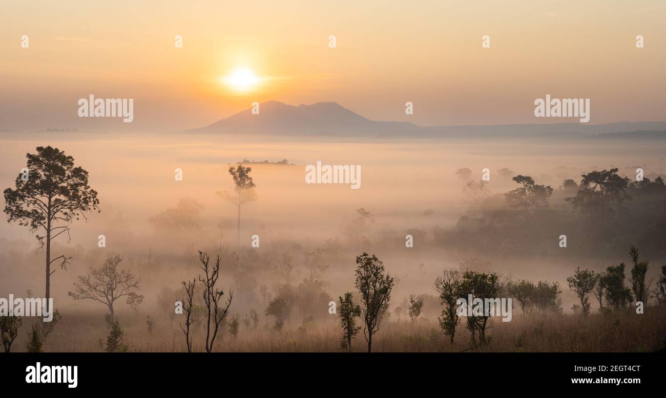 This is the photo of mountain pidsanulok Thailand in the morning during sunrise with mist and fog mountain range and trees sihoulette. Stock Photo