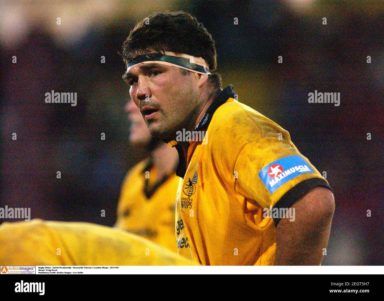 Rugby union zurich premiership newcastle falcons v london wasps hires