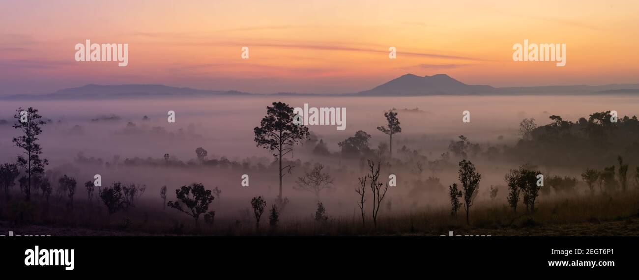 This is the photo of mountain pidsanulok Thailand in the morning during sunrise with mist and fog mountain range and trees sihoulette. Stock Photo