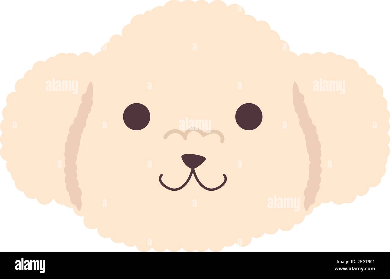cute little dog french poodle head character vector illustration design  Stock Vector Image & Art - Alamy