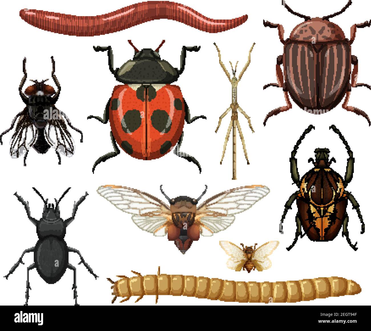 Flying mantis Stock Vector Images - Alamy