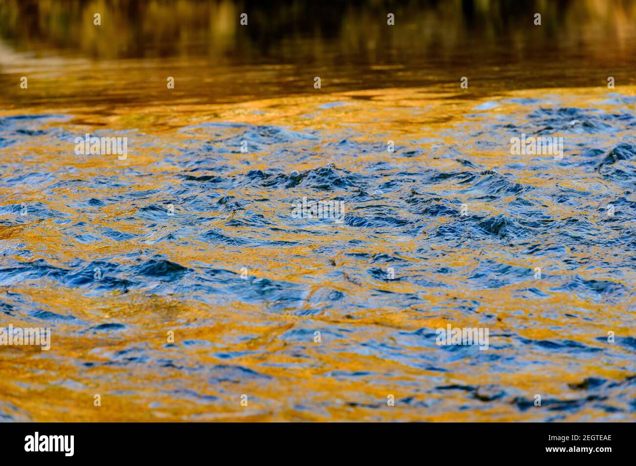 waves on the river steyr near molln, upper austria on a cold morning in february Stock Photo