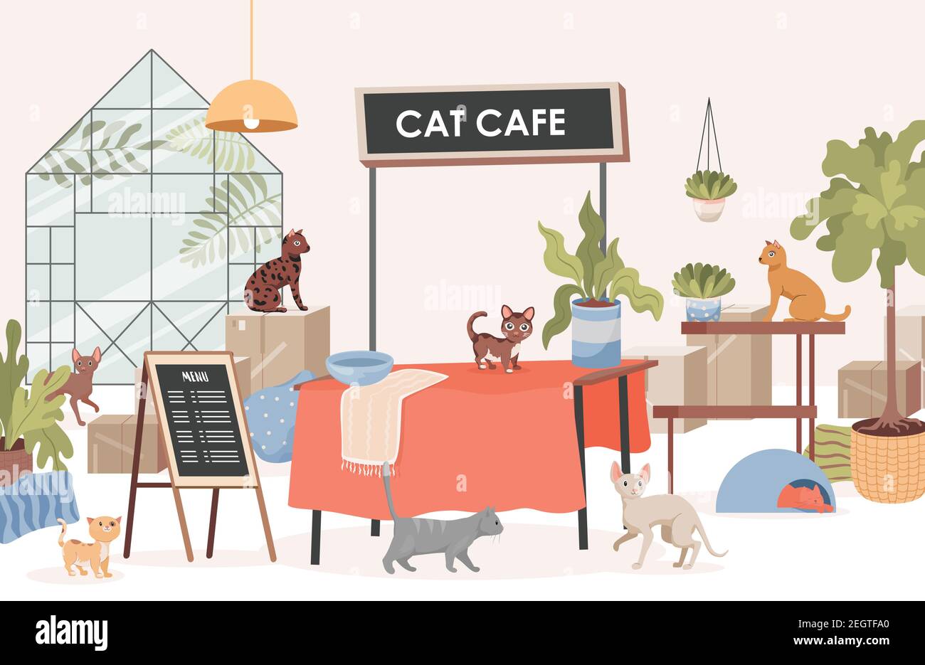 Can You Get Dog Or Cat At A Restaurant