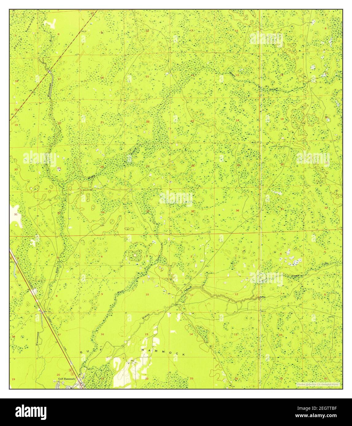 Bronson SW, Florida, map 1954, 124000, United States of America by