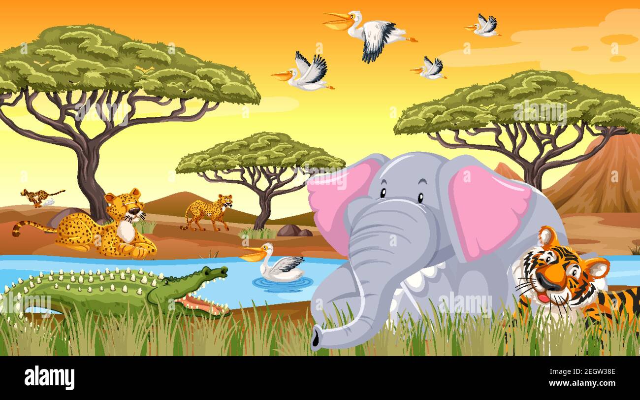Wild animals in the jungle illustration Stock Vector Image & Art - Alamy