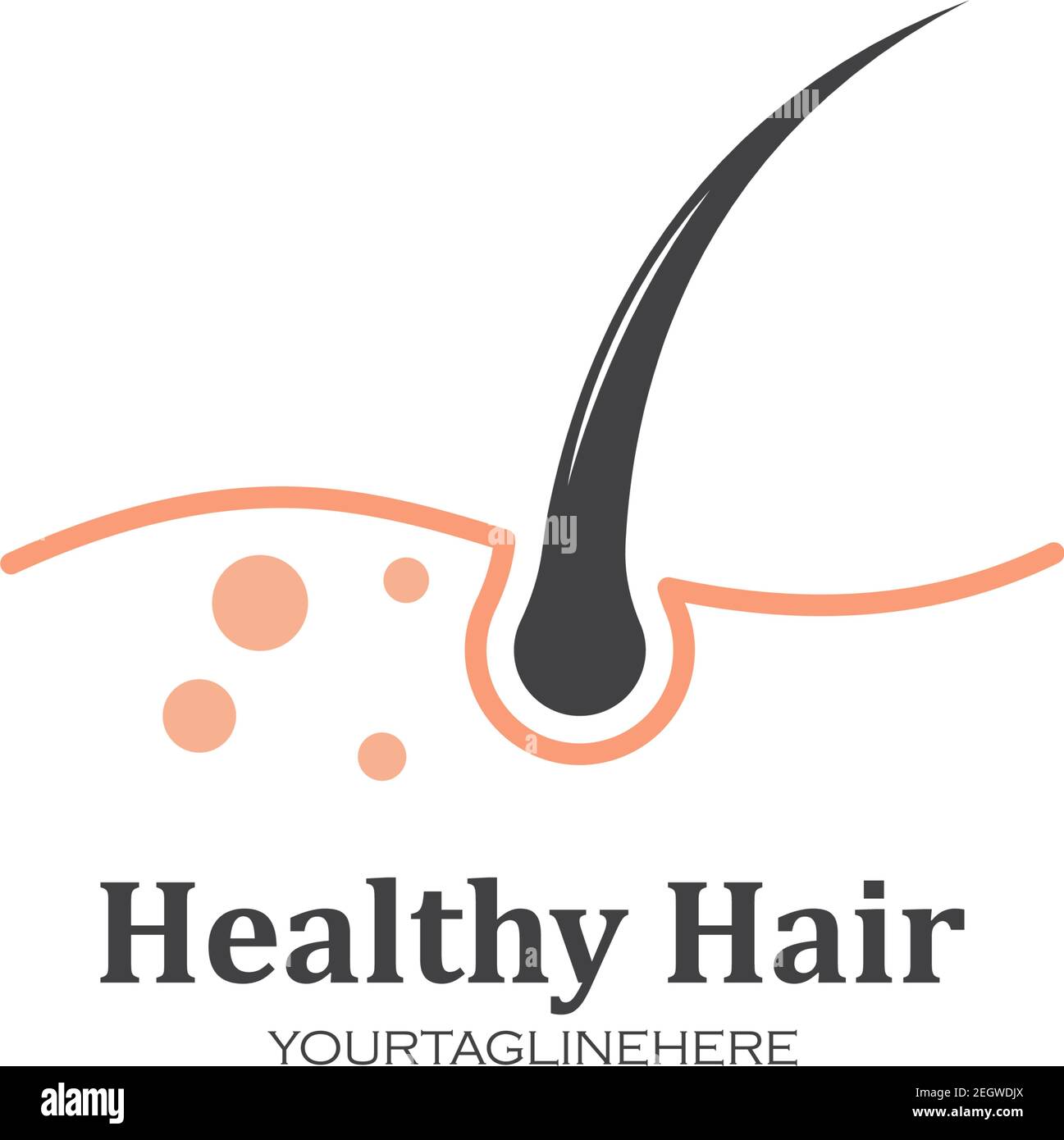 hair root icon vector illustration design template Stock Vector Image