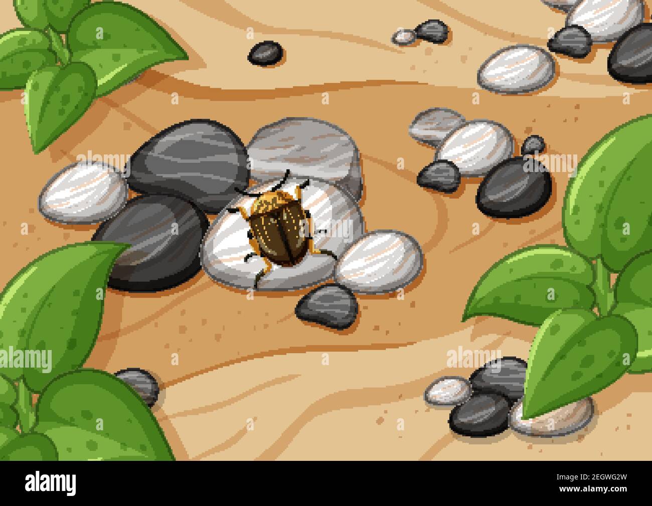 Close up nature aerial scene with insect illustration Stock Vector ...