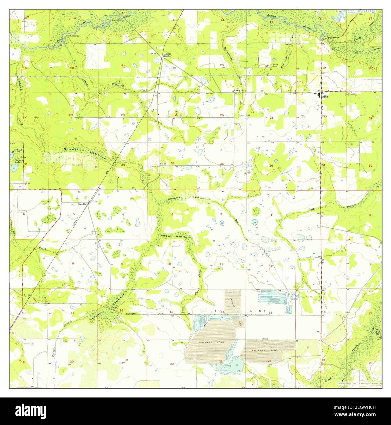 Lithia, Florida, map 1955, 1:24000, United States of America by 