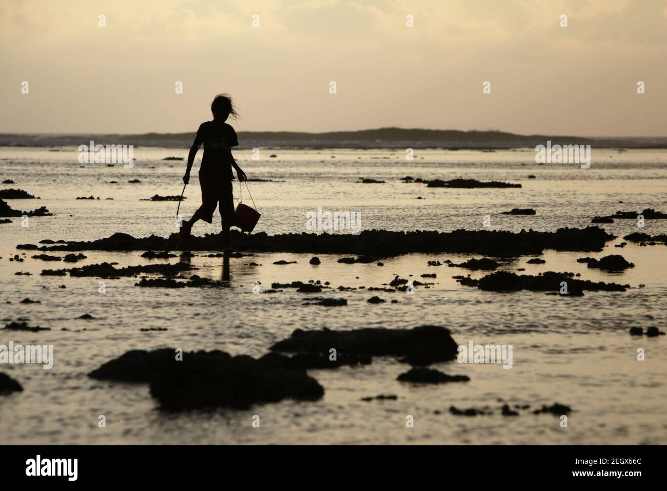 A young woman silhouetted as she is walking on rocky intertidal beach during low tide, carrying plastic buckets to collect sea products. Stock Photo