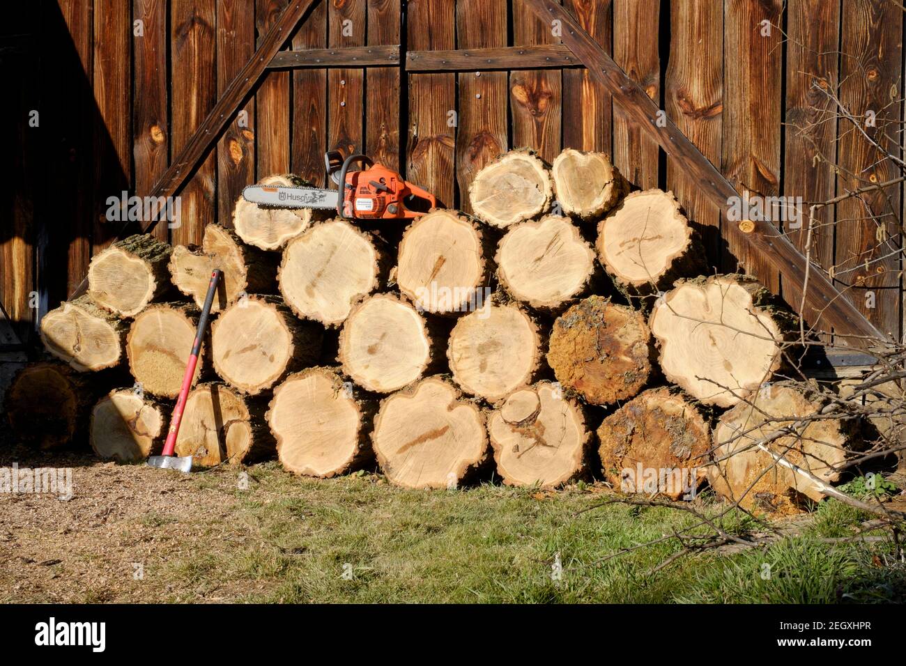 large stack of freshly cut tree rounds stacked against barn with husqvarna 445 chainsaw on top waiting for splitting with axe zala county hungary Stock Photo
