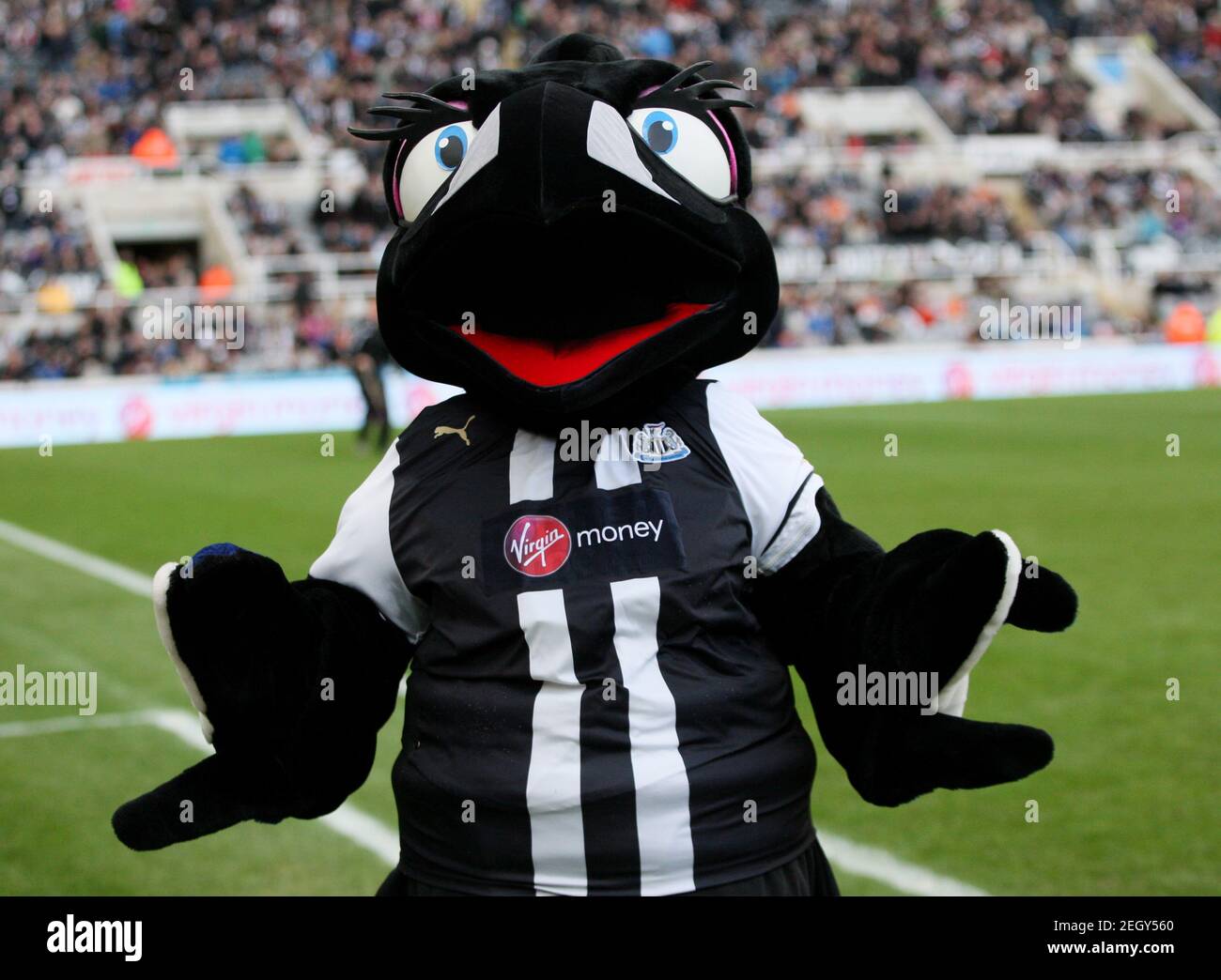 Newcastle united mascot hires stock photography and images Alamy