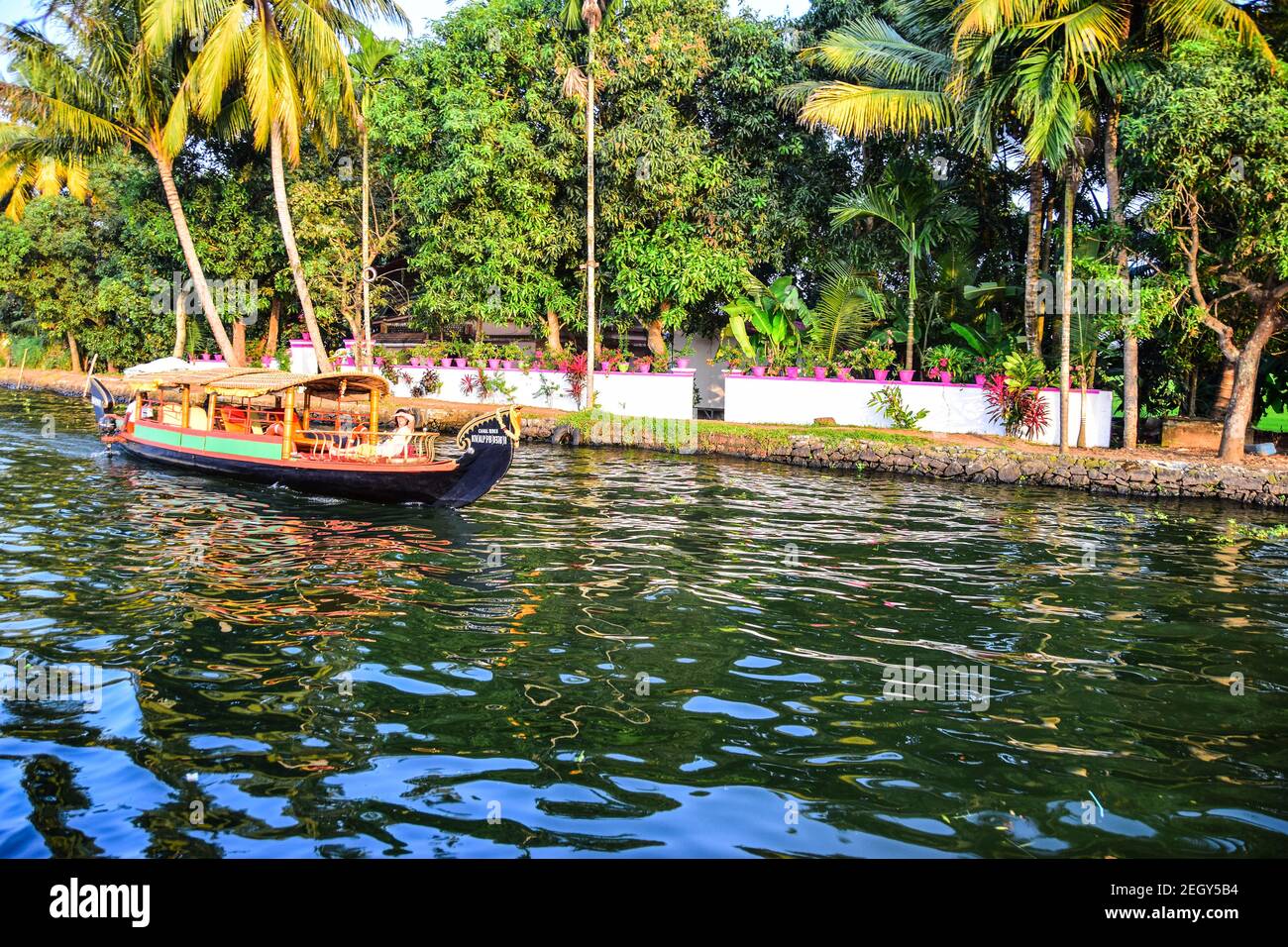 Cruising, Kerala Backwaters, Kerala, India Stock Photo