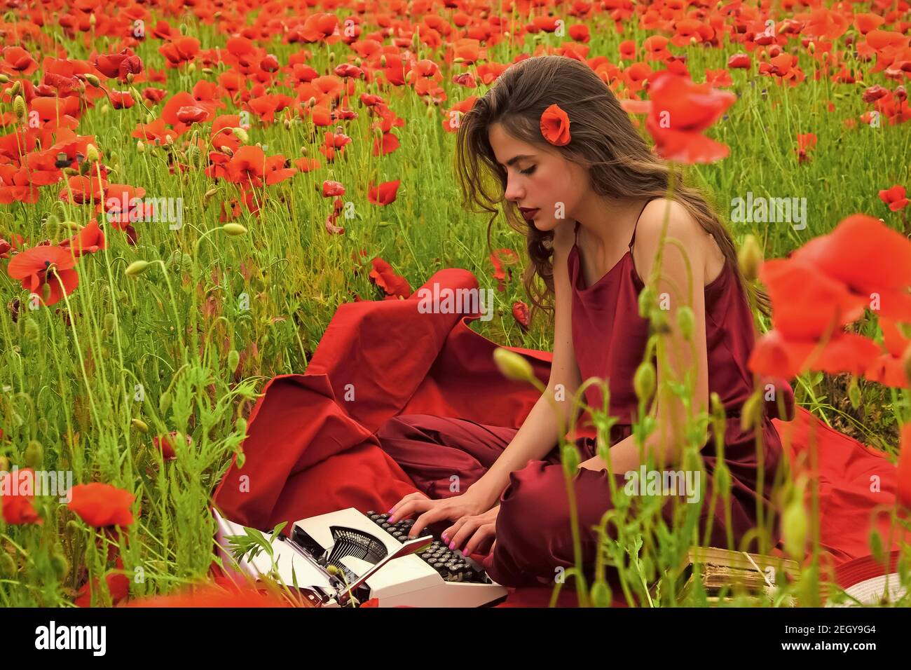 Woman with typewriter, camera, book. Poppy, Remembrance or Anzac Day. Woman writer in poppy flower field. Stock Photo