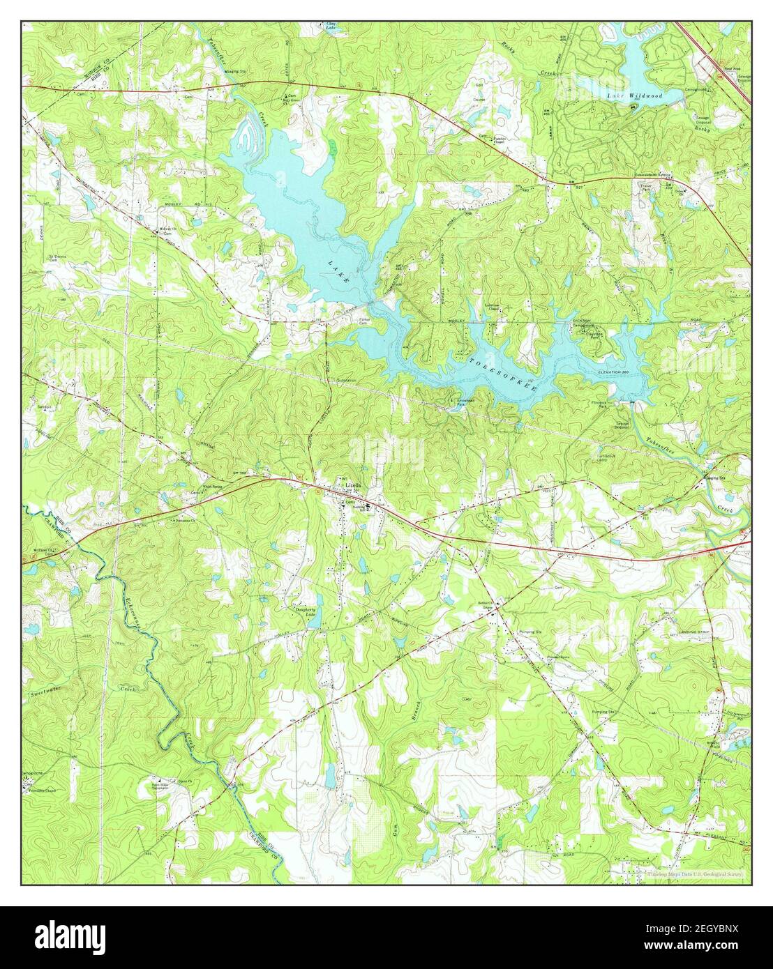 Lizella, map 1974, 124000, United States of America by