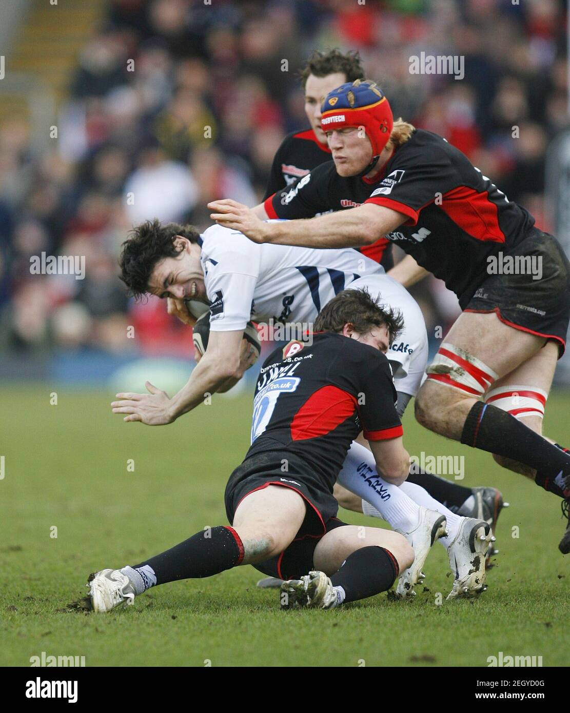 rugby 08 for sale rugby 08 for sale