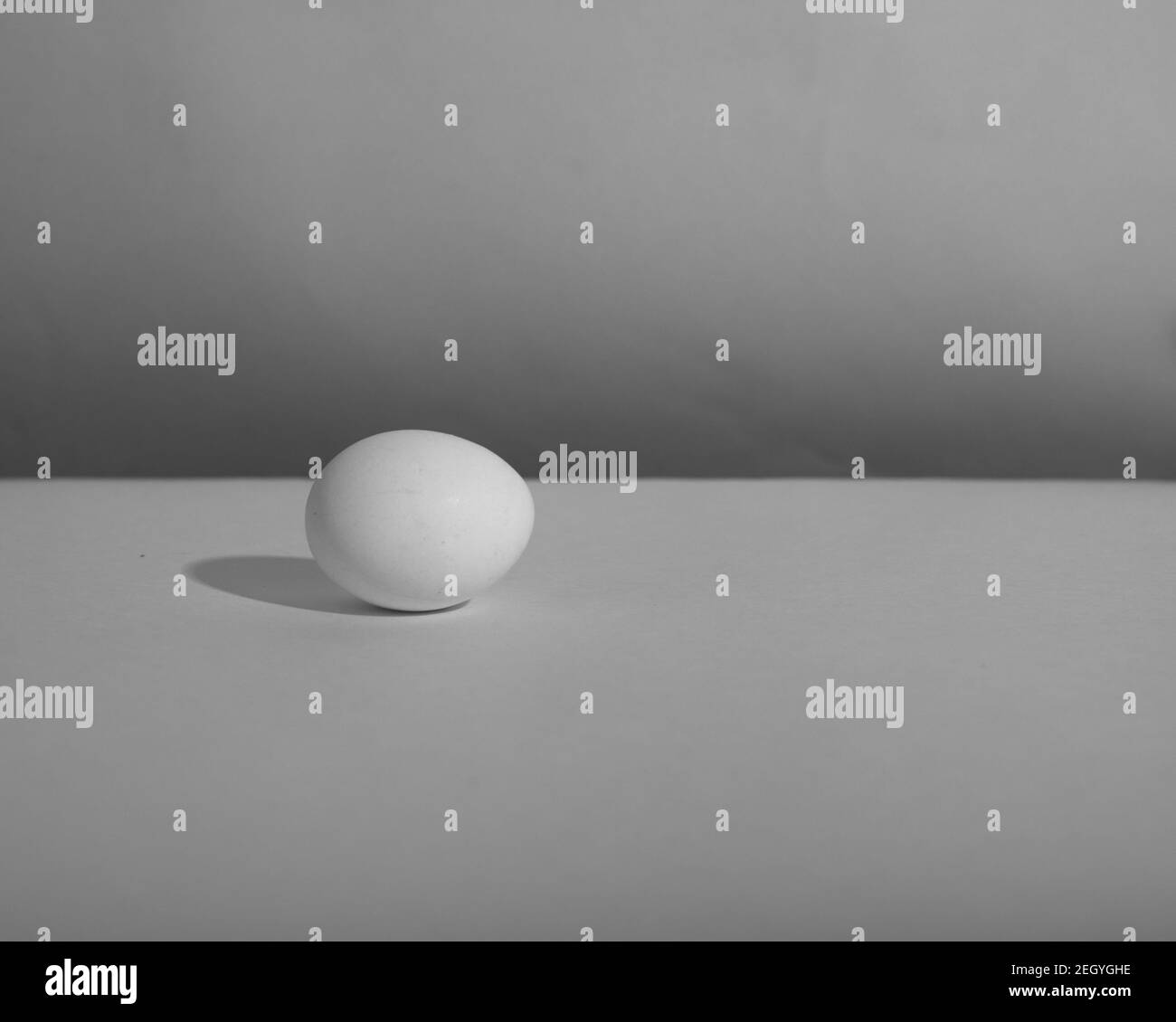 White single animal egg. Chicken egg with soft shadows on white background. Template for Easter holiday. Stock Photo