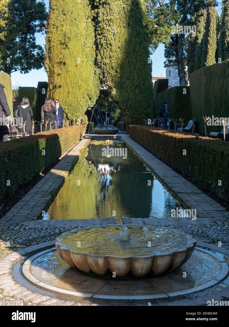 Structural pools in the gardens of Generalife Alhambra Granada Spain Europe Stock Photo