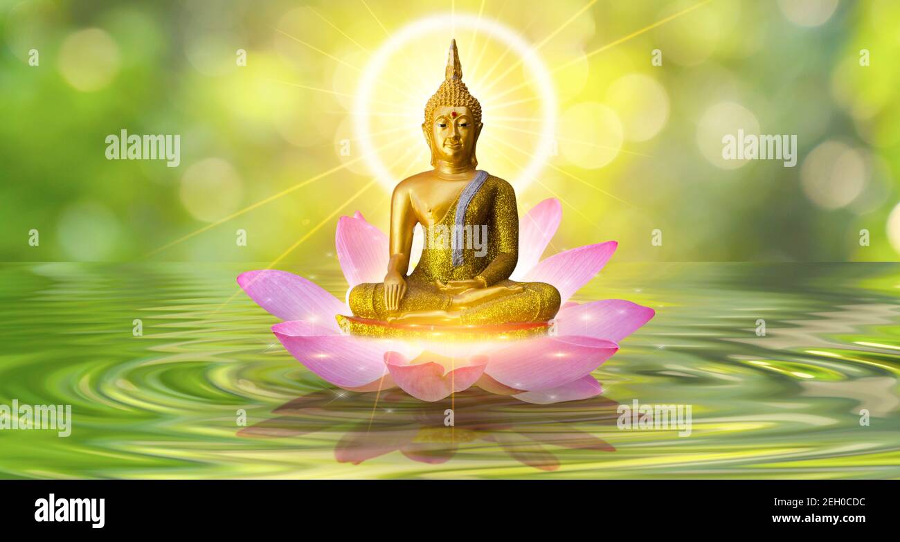 Buddha statue water lotus Buddha standing on lotus flower on orange  background Stock Photo  Alamy