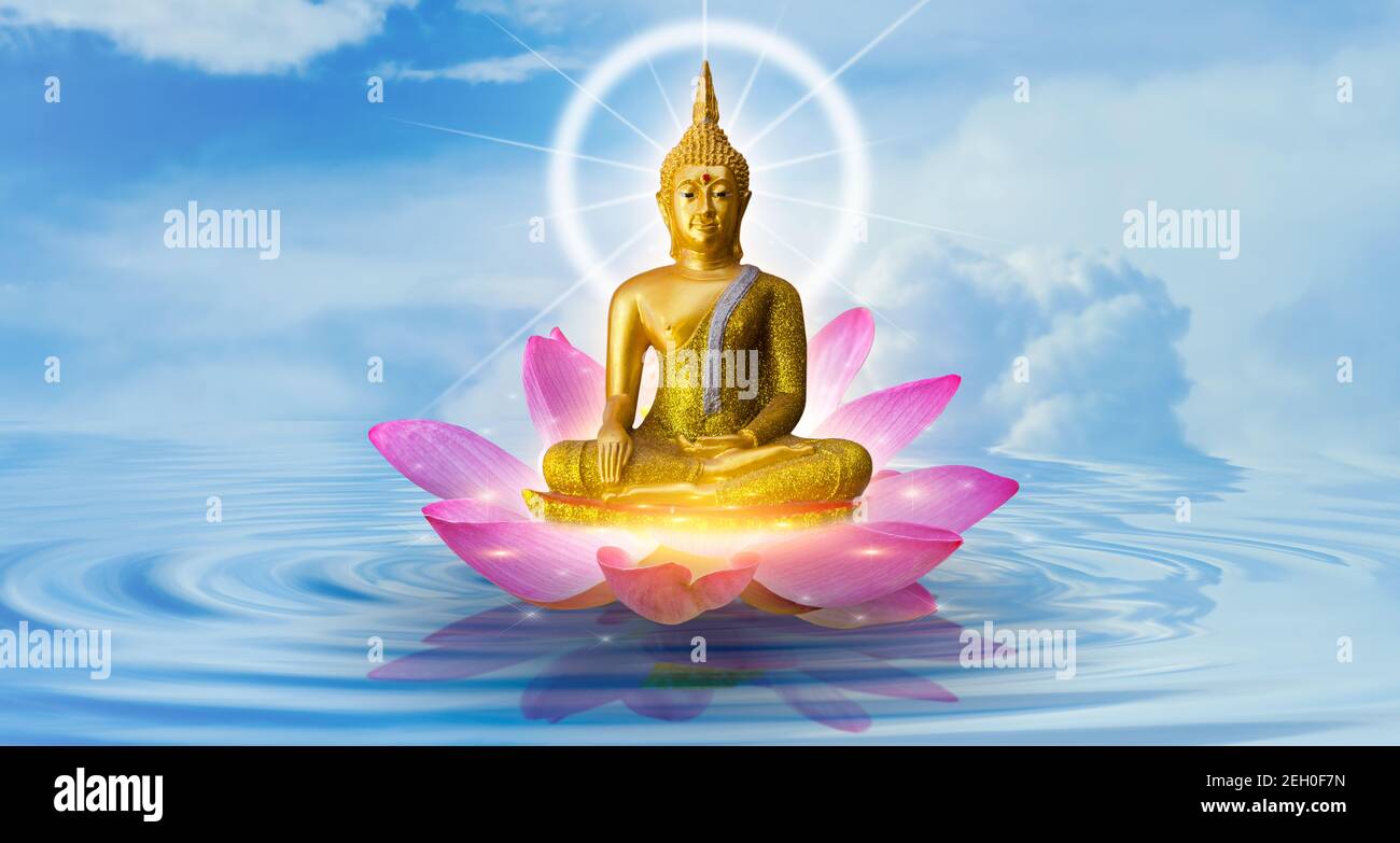 Buddha Lotus Flower High Resolution Stock Photography And Images Alamy