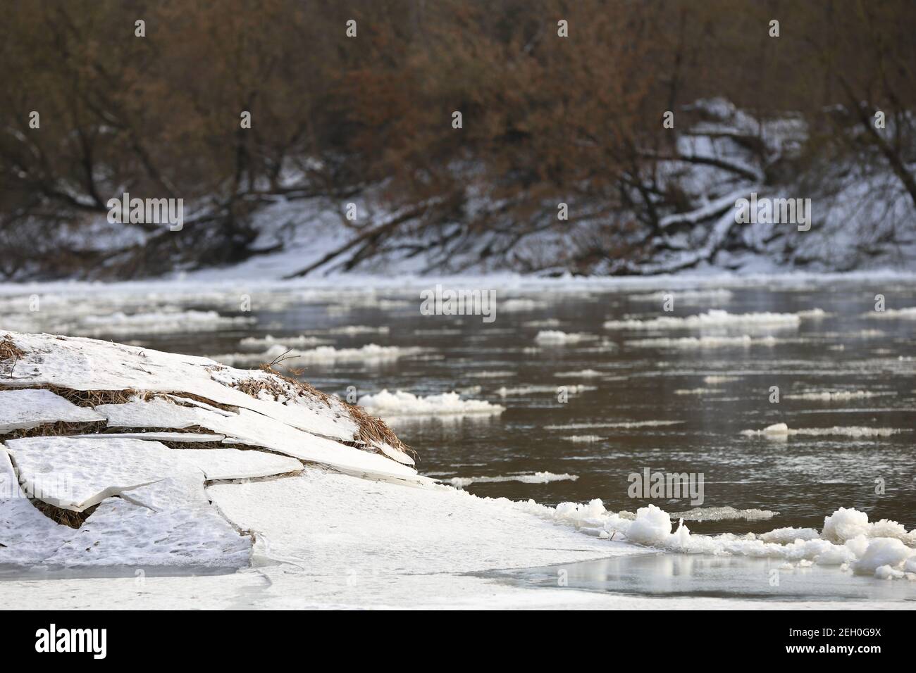 The river hung in winter, thaw by the river, trees by the shore, tree stump in the ice, snow and floe on the river Stock Photo