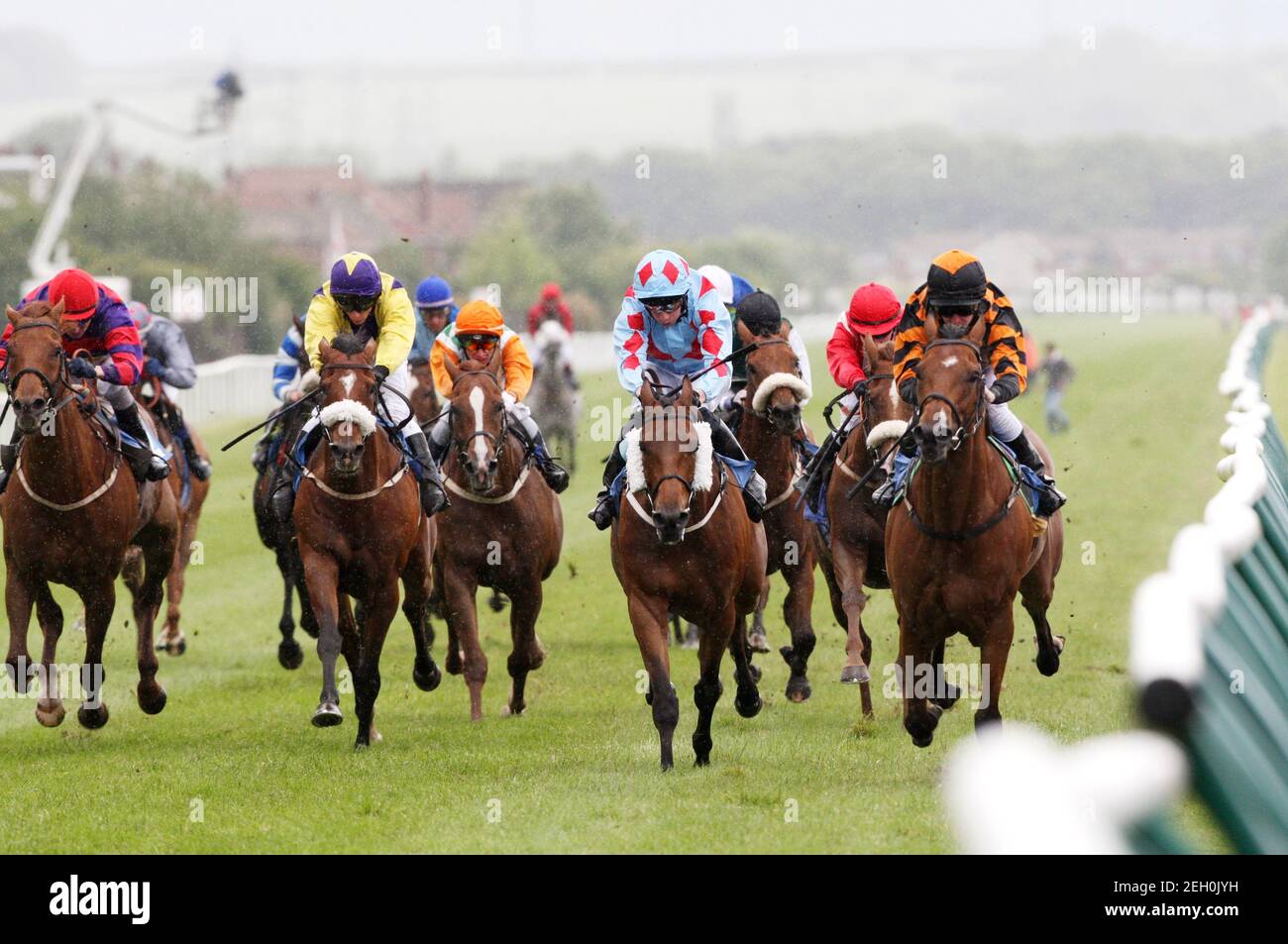 12+ Horse racing results redcar best advice