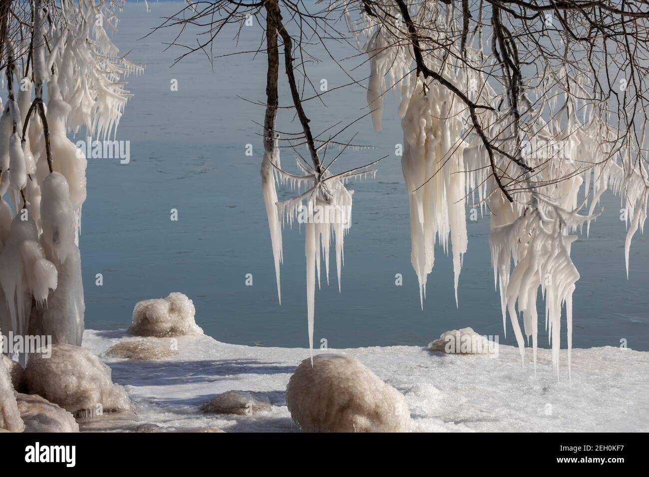 Ice icicles on tree branches on the shores of Lake Michigan Stock Photo -  Alamy, image size:1300x956