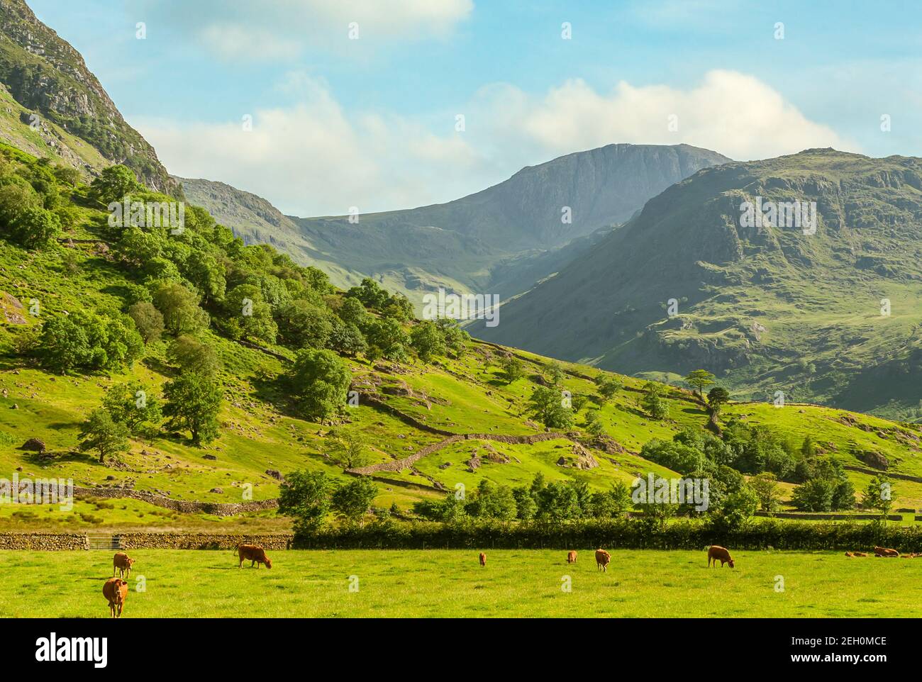 Landscape near Buttermere at the English Lake District, North West England, UK Stock Photo