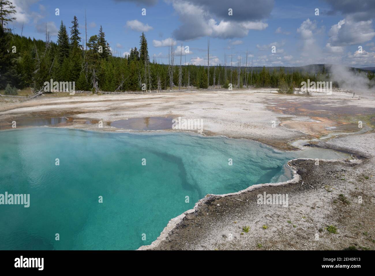 West Thumb Geyser Basin in Yellowstone National Park, Wyoming, USA Stock Photo