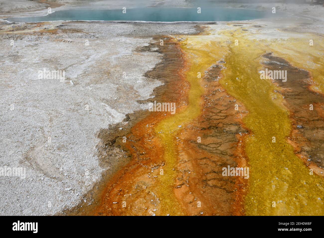 West Thumb Geyser Basin in Yellowstone National Park, Wyoming, USA Stock Photo