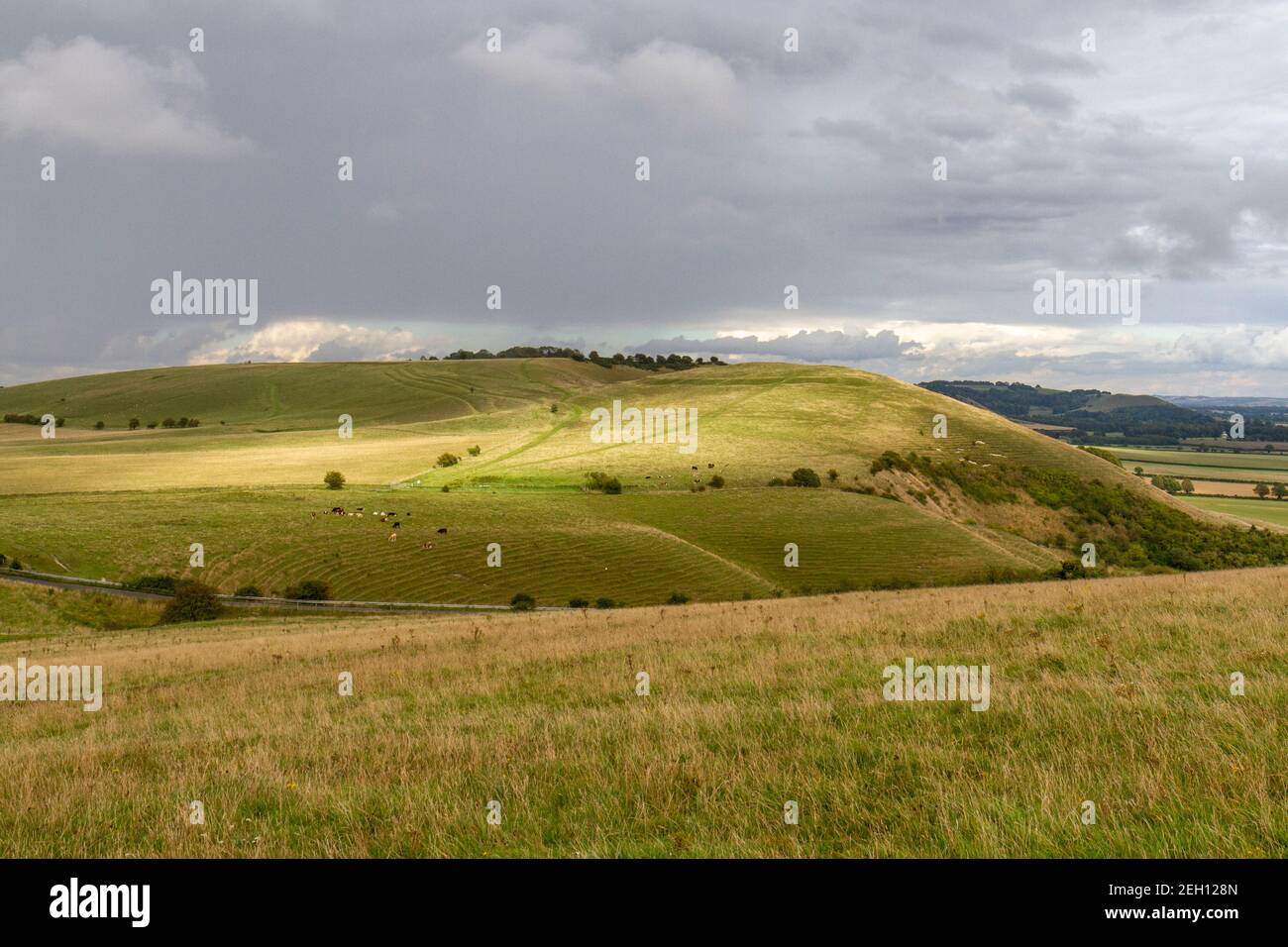 View towards Knap Hill (with a causewayed enclosure, a form of Neolithic earthwork) on Pewsey Downs, Wiltshire, UK. Stock Photo