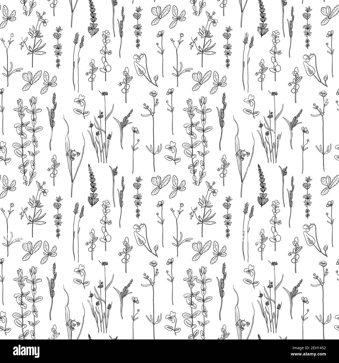 Seamles pattern with outline black and white meadow plants Stock Vector ...