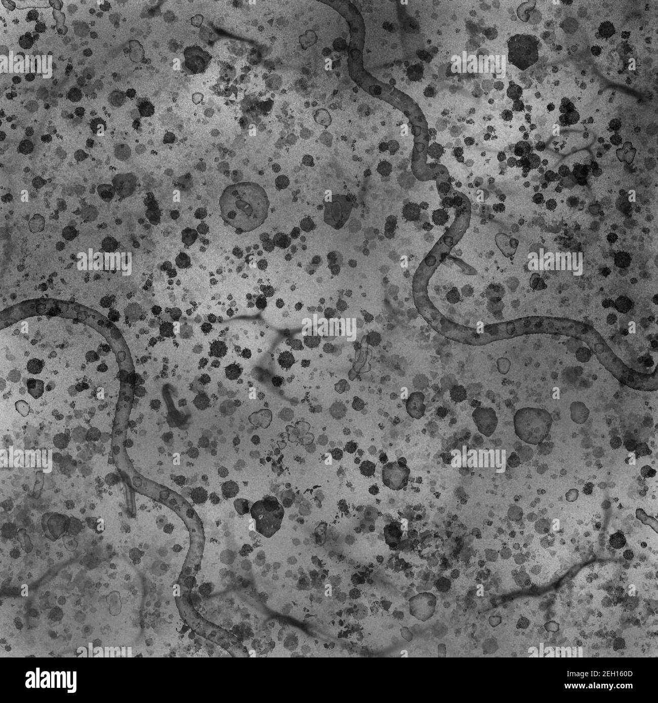 Gray digital painted concrete hi res stock photography and images Alamy