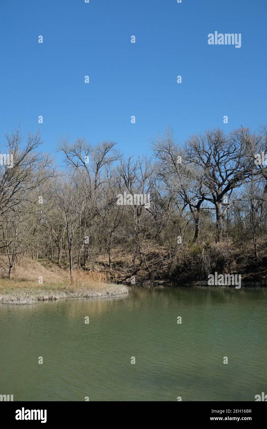 Vertical shot of the river in Chalk Ridge Falls Park, Belton, Texas
