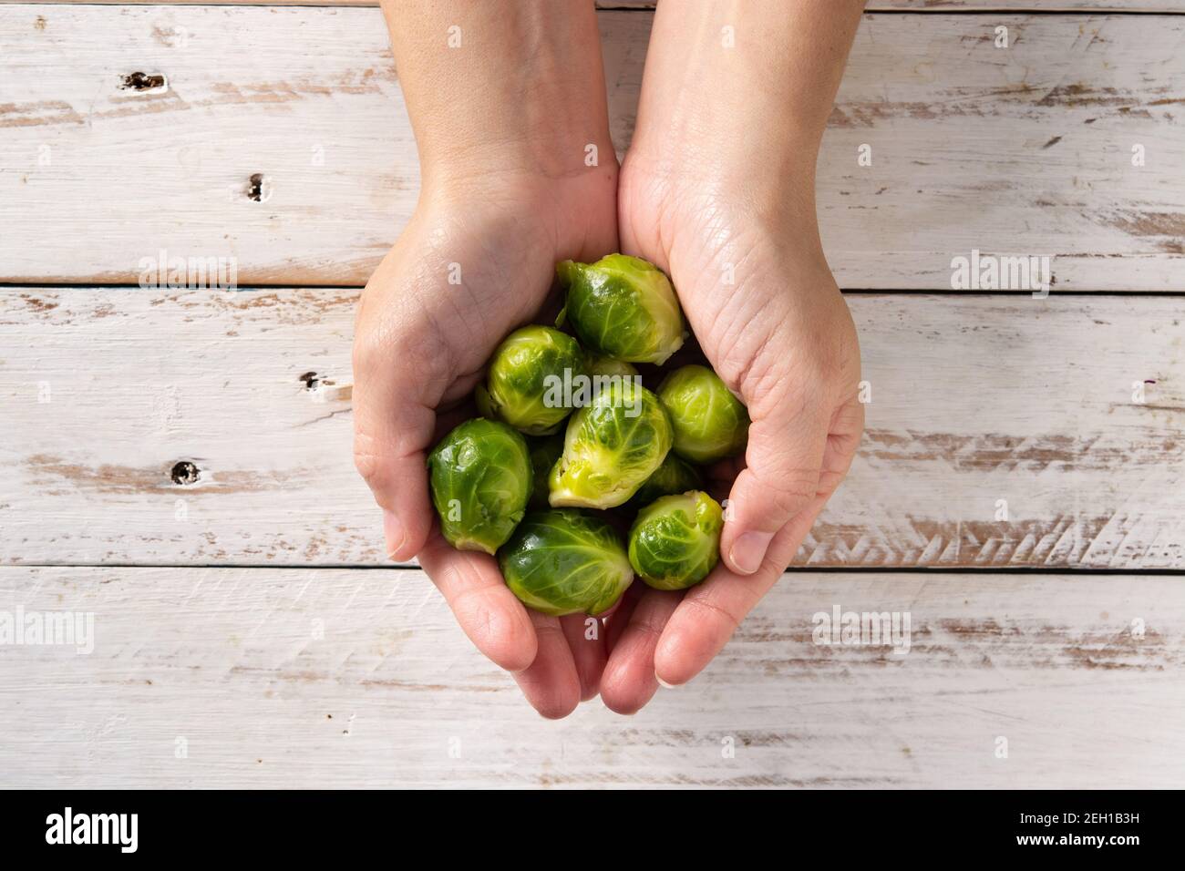 Hands with  brussel sprouts on wooden table Stock Photo