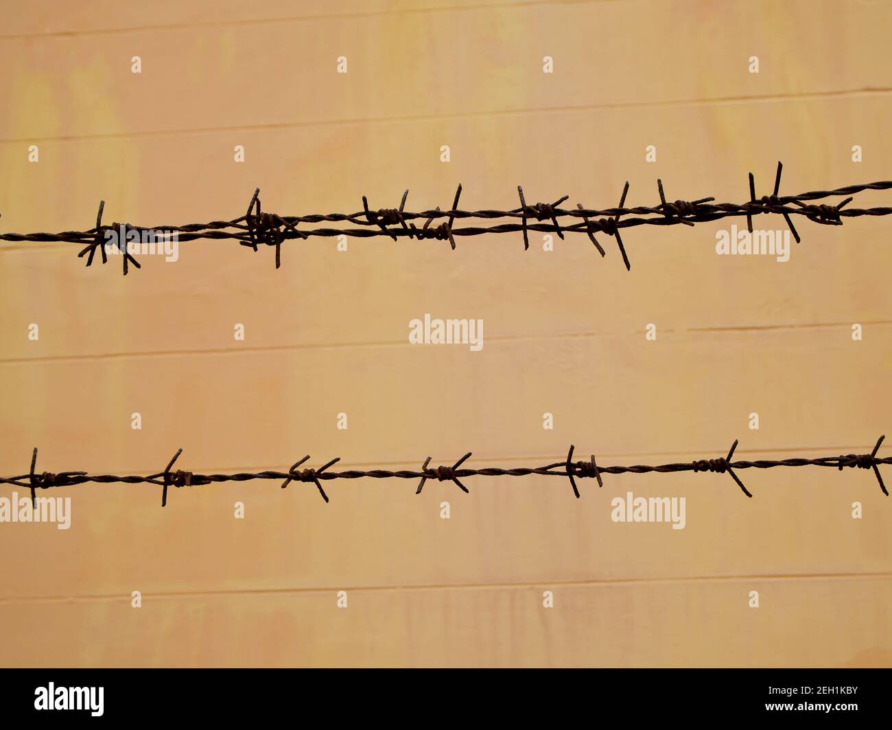 Old and rusty barbed wire on the fence Stock Photo - Alamy
