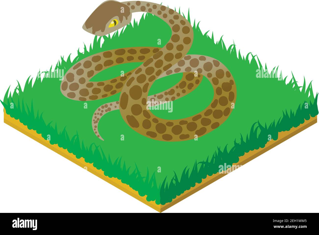 Anaconda icon. Isometric illustration of anaconda vector icon for web ...