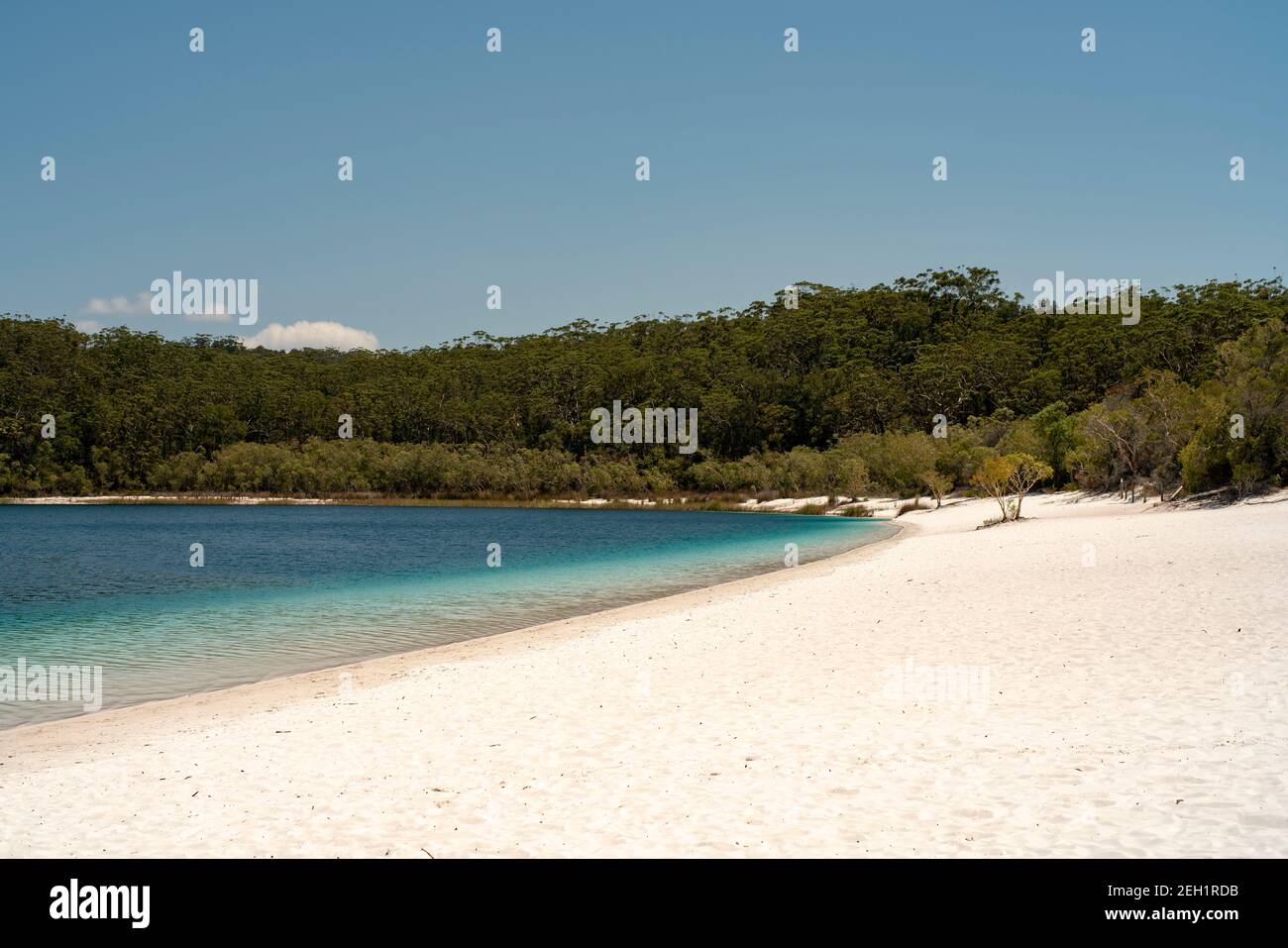 Lake Mckenzie Beach Great Sandy National Park Stock Photo Alamy