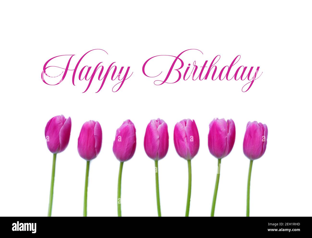 Happy Birthday Greeting Card with beautiful pink Spring Tulips on white background. Pink Tulips with text Happy Birthday. Greeting cards,posters. Stock Photo