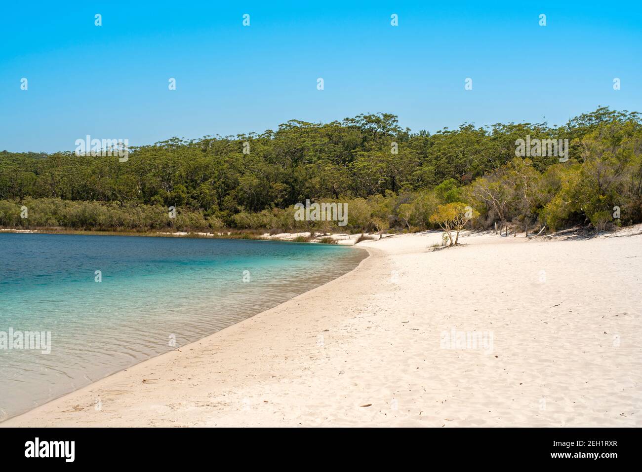 Lake Mckenzie Beach Great Sandy National Park, Fraser Island