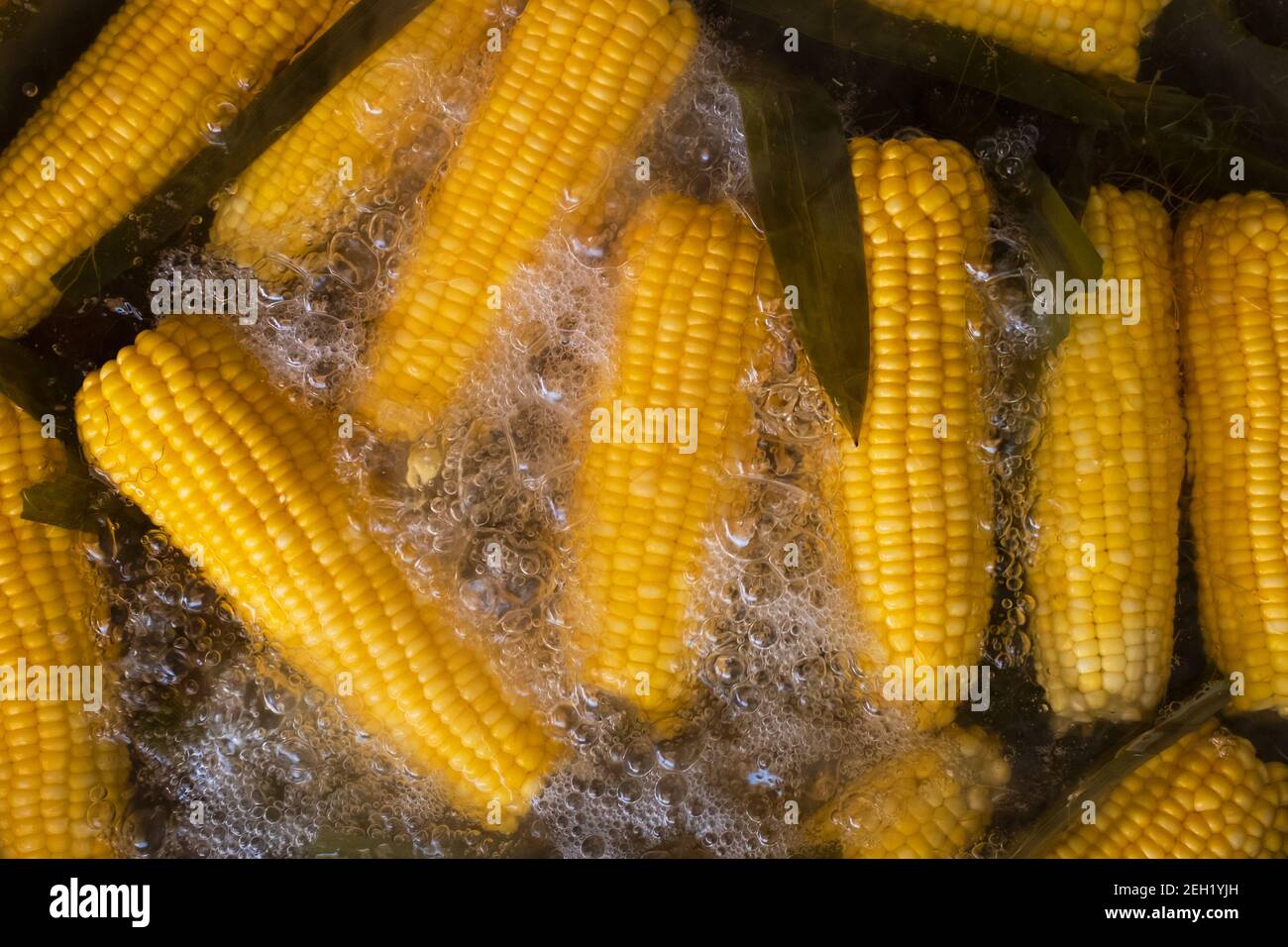 Corn in boiling water Stock Photo Alamy