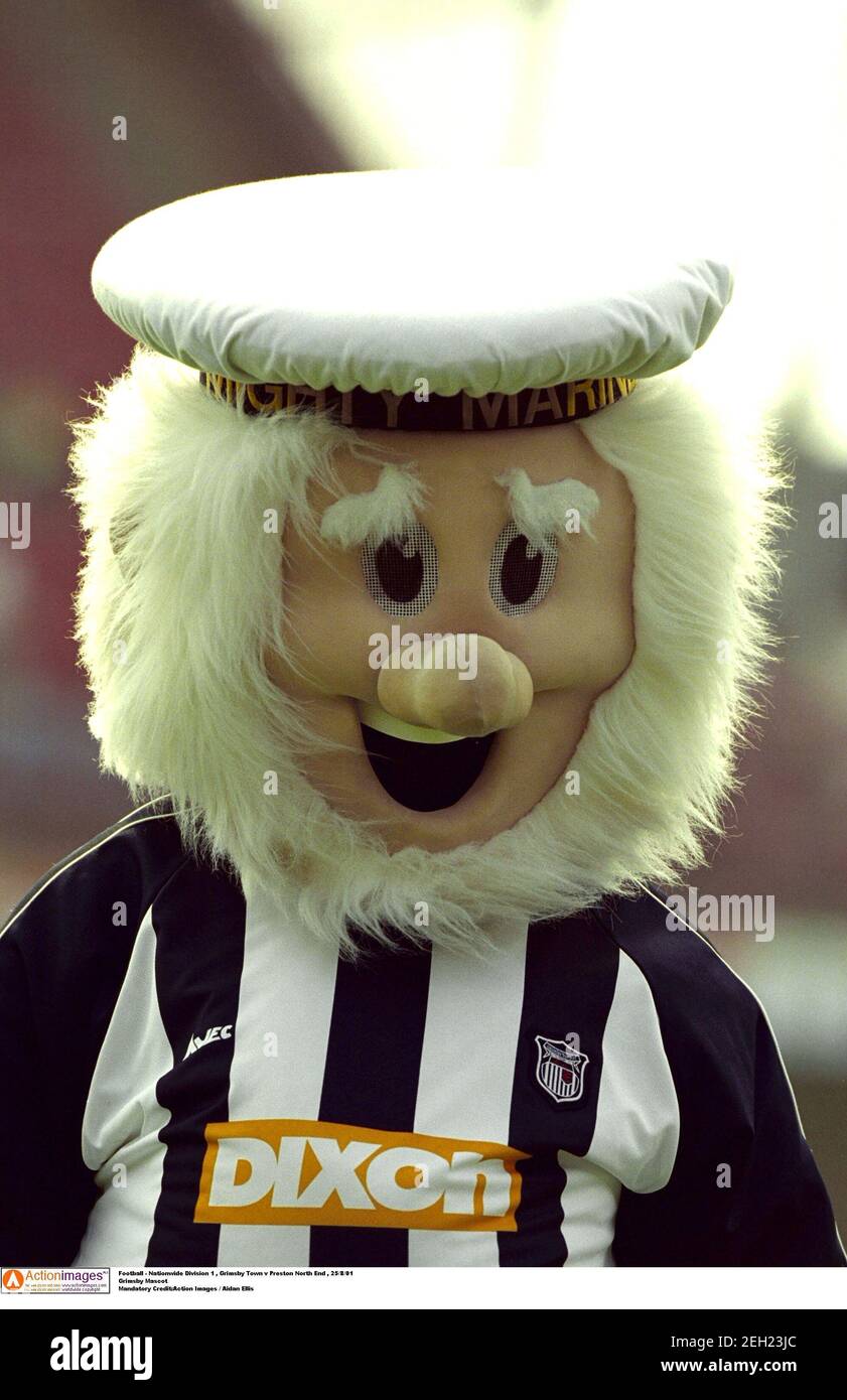 Grimsby town football mascot hires stock photography and images Alamy