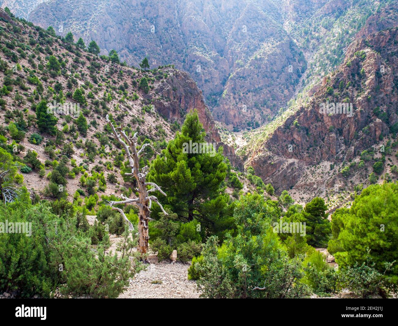 The fertile valley of Ait Bougmez / Bougoumez in the M'Goun region of