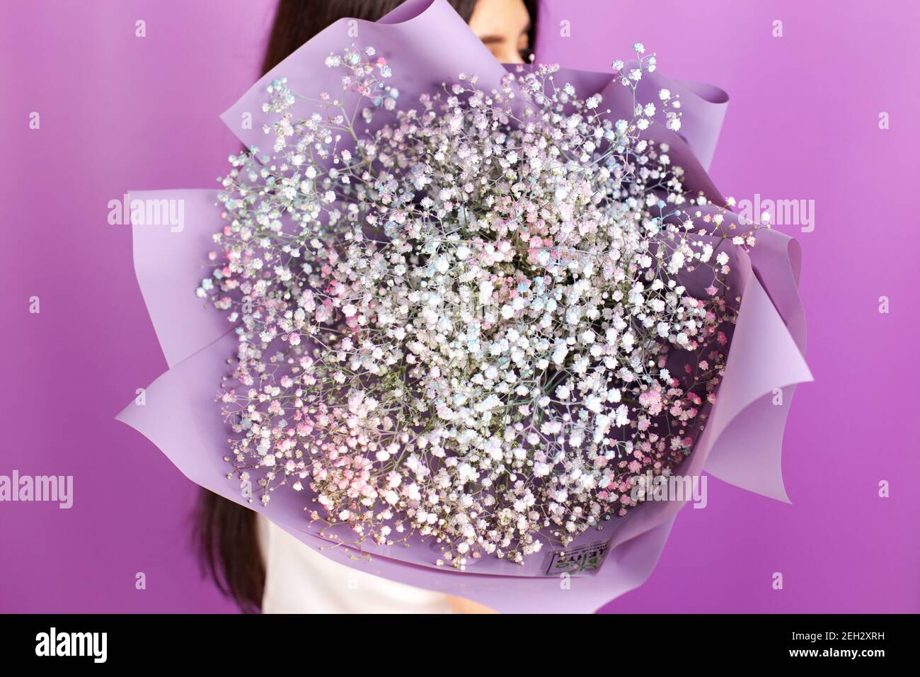 The girl holding huge bouquet of gypsophila babys-breath Stock Photo ...